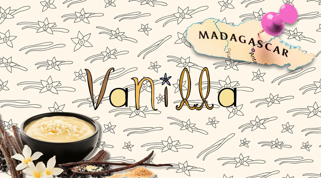 Vanilla pods, vanilla cream and vanilla bean flowers on a background of vanilla wallpaper. a map of madagascar is highlighted