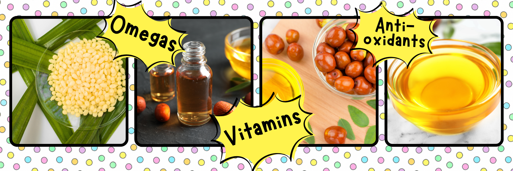 jojoba oil and candelilla wax in 4 images set against a background of coloured polka dots